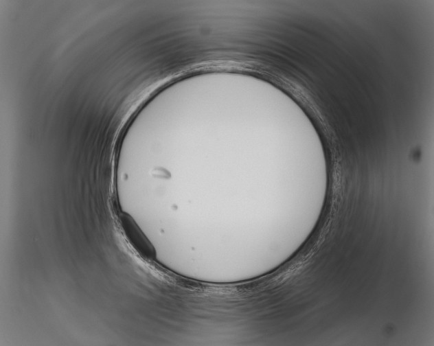X0000115500844200912041036
