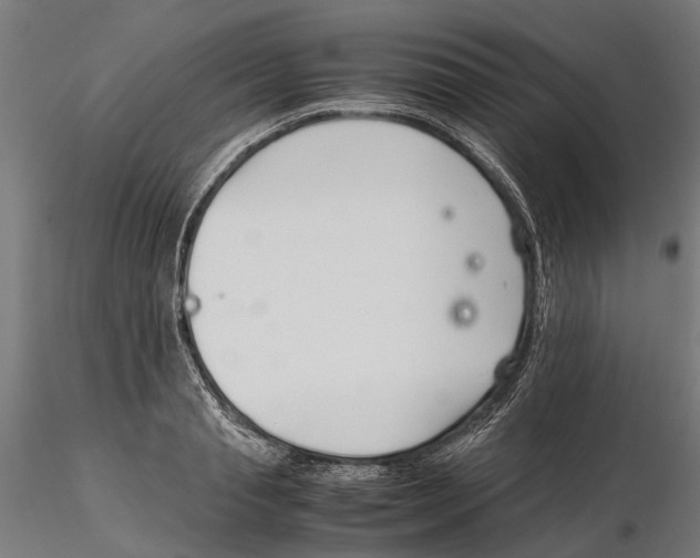 X0000115500845200912041036