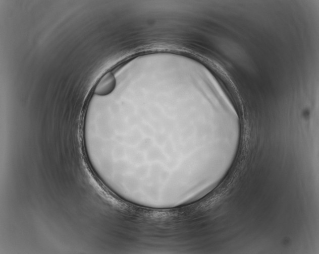 X0000115500847200912041036