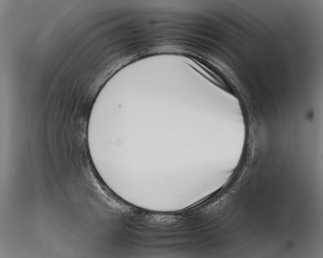 X0000115500849200912041036
