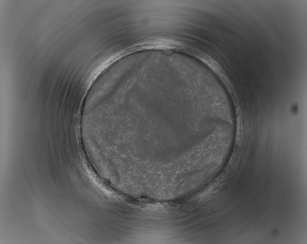 X0000115500850200912041036