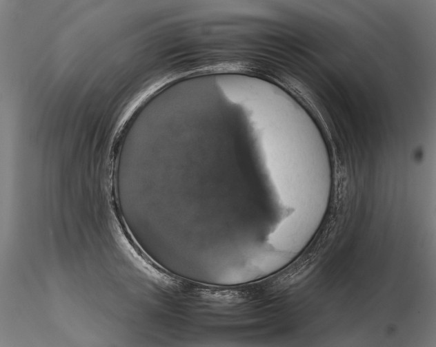 X0000115500851200912041036