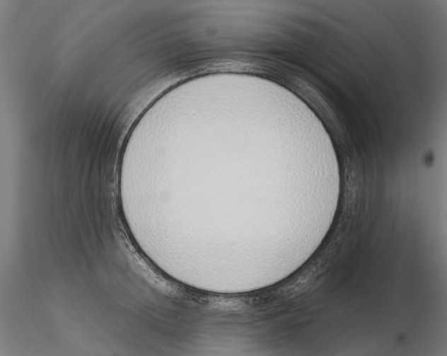 X0000115500852200912041036
