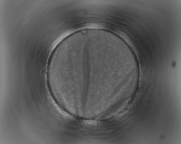 X0000115500853200912041036