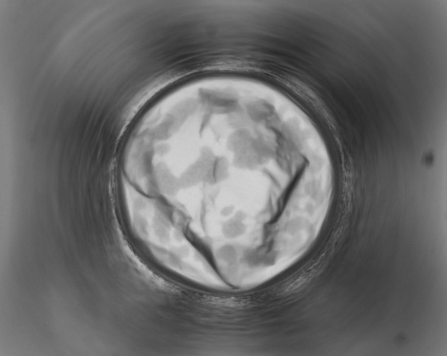 X0000115500855200912041036