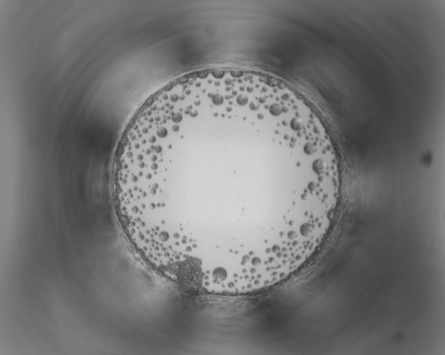 X0000115500856200912041036