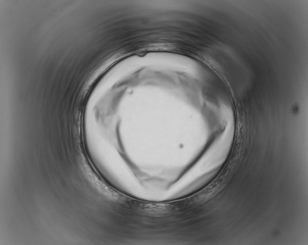 X0000115500859200912041036