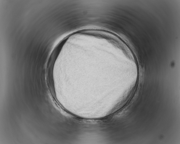 X0000115500862200912041036