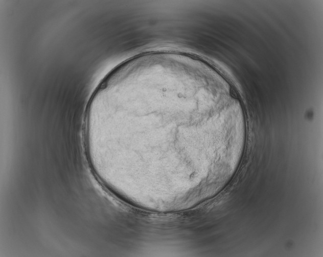 X0000115500863200912041036