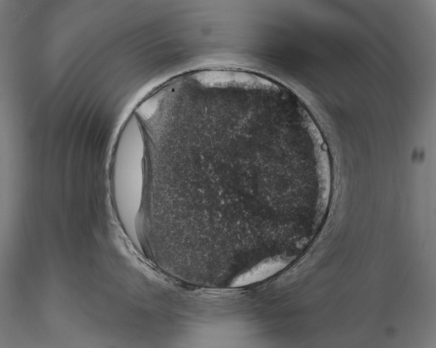 X0000115500864200912041036
