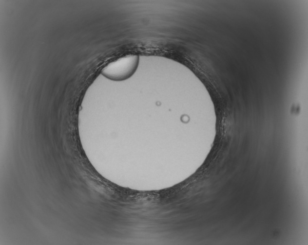 X0000115500865200912041036