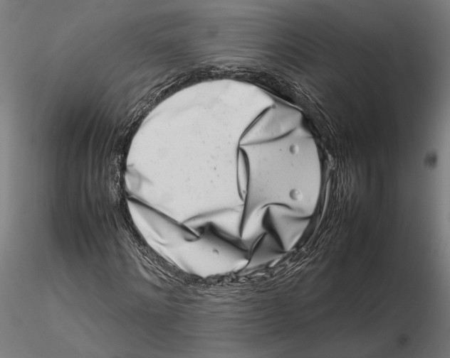 X0000115500868200912041036