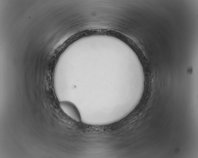 X0000115500871200912041036