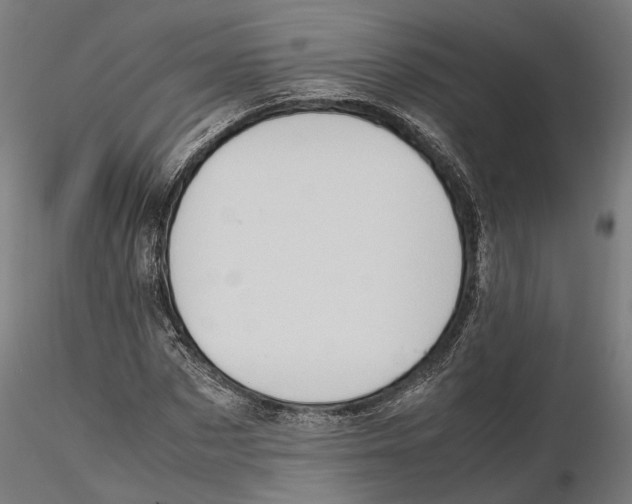 X0000115500873200912041036
