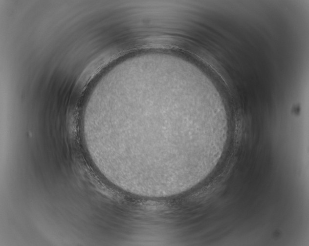 X0000115500874200912041036