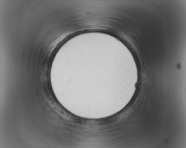X0000115500875200912041036