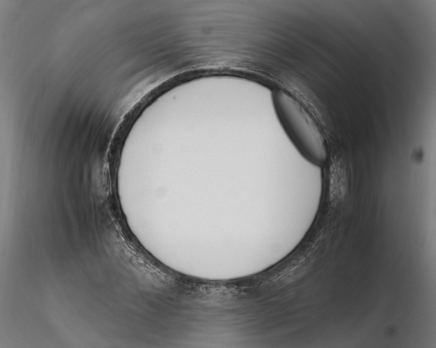 X0000115500876200912041035