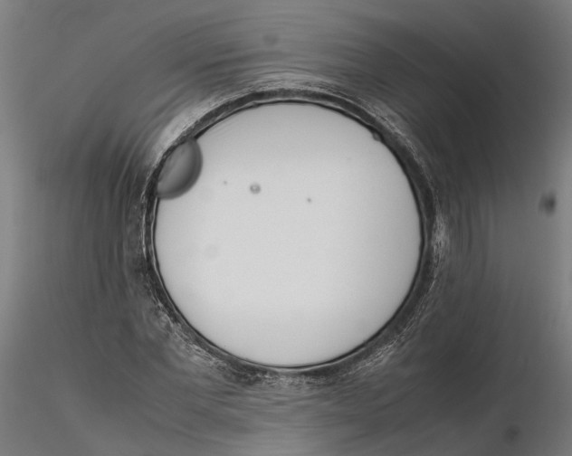 X0000115500877200912041035