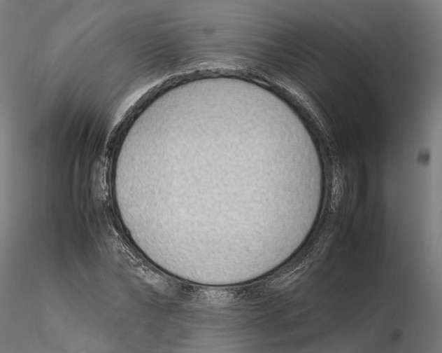 X0000115500878200912041035