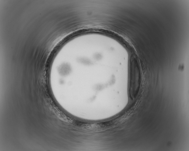 X0000115500879200912041035