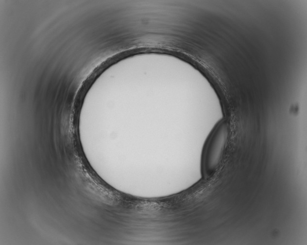 X0000115500880200912041035