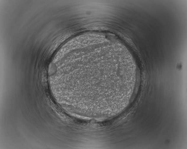 X0000115500881200912041035