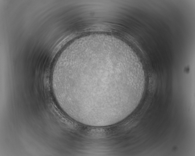 X0000115500882200912041035