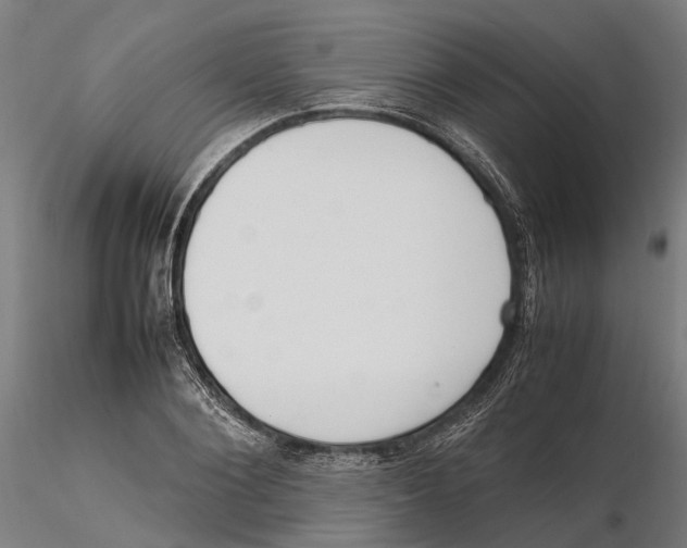 X0000115500884200912041035