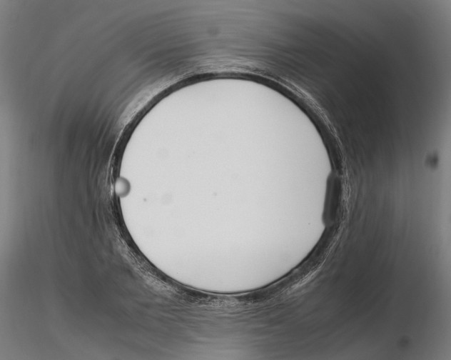 X0000115500885200912041035