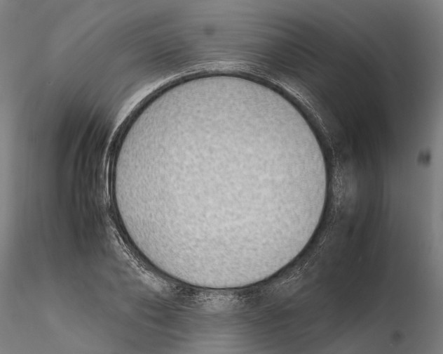 X0000115500886200912041035
