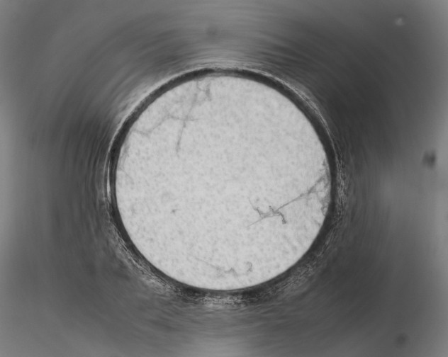 X0000115500887200912041035