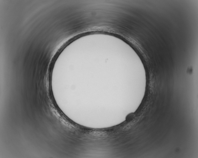 X0000115500888200912041035
