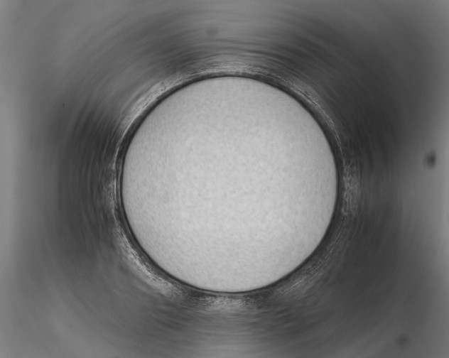 X0000115500890200912041035