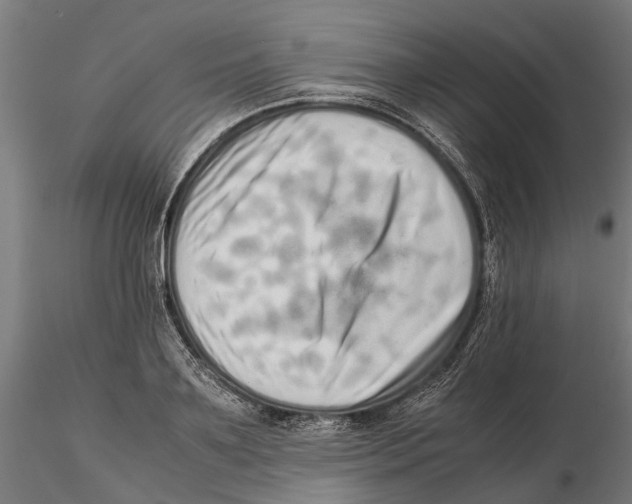 X0000115500891200912041035