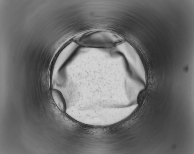 X0000115500892200912041035