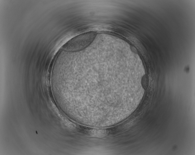 X0000115500893200912041035