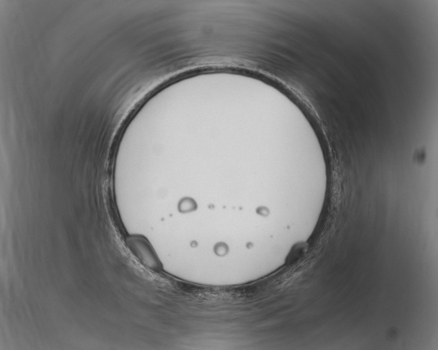 X0000115500895200912041035