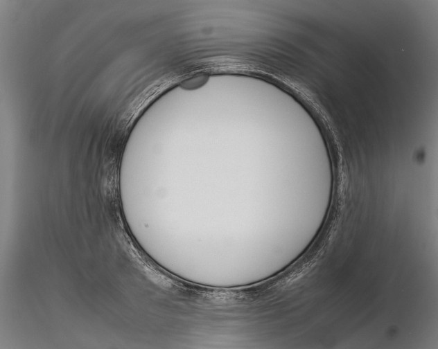 X0000115500897200912041035