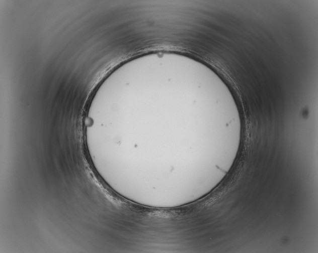 X0000115500898200912041035