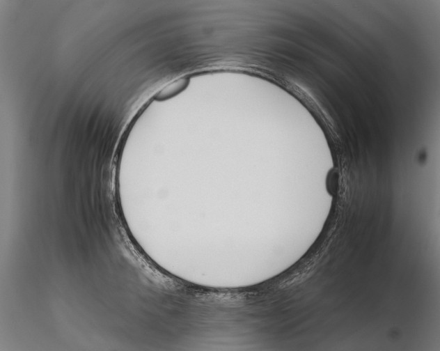 X0000115500900200912041035