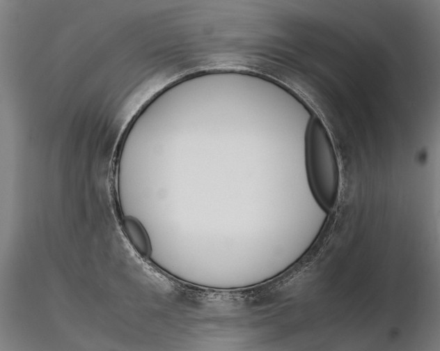 X0000115500901200912041035