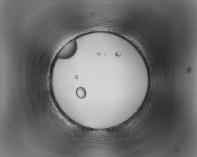 X0000115500902200912041035