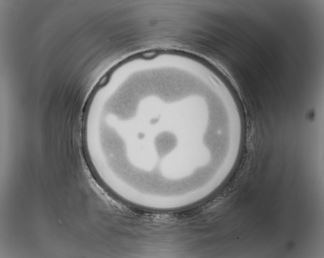 X0000115500903200912041035