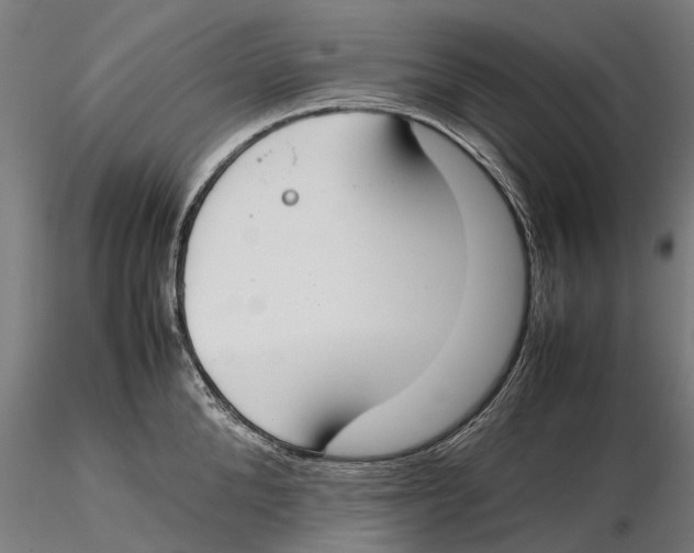 X0000115500904200912041035