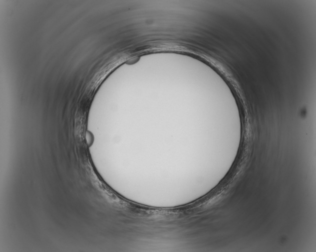 X0000115500905200912041035