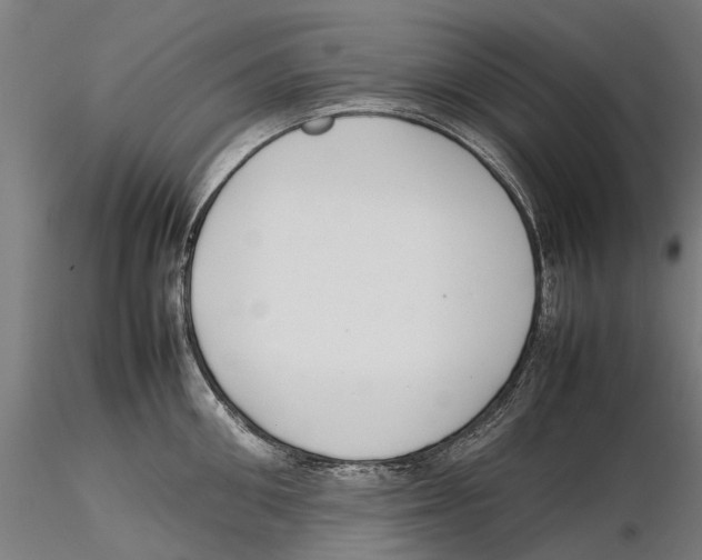 X0000115500906200912041035