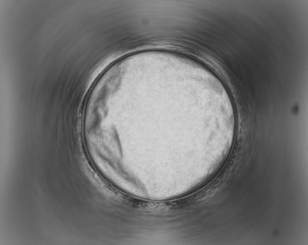 X0000115500907200912041035