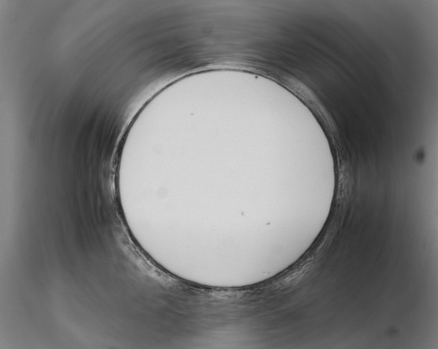 X0000115500908200912041035