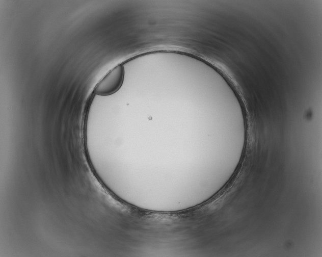 X0000115500910200912041035