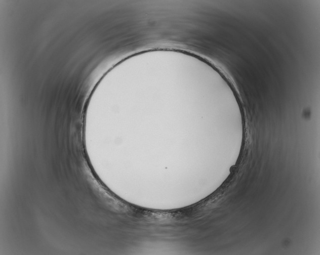 X0000115500911200912041035